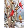 Image de Cobble Hill legpuzzel Winter Birds - 1000 stukjes puzzelplezier.