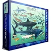 Image de Eurographics - Haaien [Sharks] - 1000 stukjes 68×48cm (b×h) - Legpuzzel