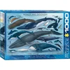 Image de Eurographics legpuzzel - dolfijnen en walvissen - 1000 stukjes - fauna.