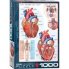 Image de Eurographics - Het Hart [The Heart] - 1000 stukjes 48×68cm (b×h) - Legpuzzel