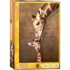 Image de Eurographics - Kus van een Girafmoeder [Giraffe Mother's Kiss] - 1000 stukjes 48×68cm (b×h) - Legpuzzel