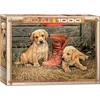 Image de Eurographics puzzel dieren Something Old Something New - 1000 stukjes.
