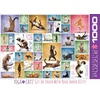 Image de Eurographics - Yoga Katten [Yoga Cats] - 1000 stukjes 68×48cm (b×h) - Legpuzzel