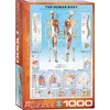 Image de Eurographics - Het Menselijk Lichaam [The Human Body] - 1000 stukjes 48×68cm (b×h) - Legpuzzel