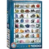 Image de Eurographics puzzel Mineralen van de Wereld - 1000 stukjes legpuzzel.