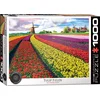 Image de Eurographics - Tulpenvelden Nederland [Tulip Fields Netherlands] - 1000 stukjes 68×48cm (b×h) - Legpuzzel