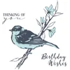 Image de Sizzix Layered Clear Stamps Summer Bird 4stuks