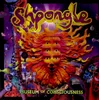 Image de Shpongle - Museum Of Consciousness (2 LP)