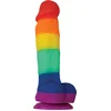 Image de NS Novelties - Pride Edition 5 Inch Dildo - Dildos Meerkleurig