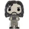 Image de Funko Harry Potter Pin POP! Enamel Sirius Black 10 cm Multicolours