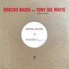 Image de Boozoo Bajou & Tony Joe White - Aspen Colorado (12" Single)