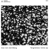 Image de Max Von Sternberg - Forgiveness Remix EP (12" Single)