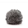 Image de Røde WS8 - Windshield shotgun mic.