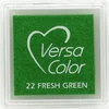 Image de Stempelkussen fresh green mini Versacolor - Tsukineko