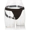 Image de CalExotics - Jock Strap - Strap On Harness Zwart XS/S
