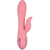Image de CalExotics - Pasadena Player - Vibrators Clitoral Roze