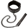 Image de Halsband met Riem Boundless - Zwart