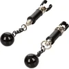 Image de CalExotics - Weighted Twist Nipple Clamps - Bondage / SM Nipple clamps Zilver