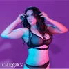 Image de Halter Buckle Harness +Size CalExotics