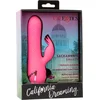 Image de Sacramento Sweety