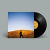 Image de Sam Burton - Dear Departed (LP)
