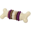 Image de PetSafe Bristle Bone - Medium