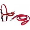 Image de Easy Walk® Harnas - Rood - L