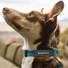 Image de Ruffwear Hi & Light Collar - Lichen Green - 28-36 cm