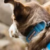 Image de Ruffwear Hi & Light Collar - Basalt Gray - 51-66 cm