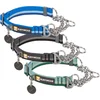 Image de Ruffwear Chain Reaction Halsband - Blue Pool - 28/36 cm