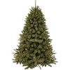 Image de Triumph Tree Forest Frosted Kunstkerstboom - Kerstversiering voor Binnen met Insteekconstructie - Kunstboom met Frosted Naalden en PVC Takken - H215 x Ø140 cm - Groen