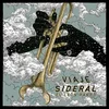 Image de El Leon Pardo - Viaje Sideral (LP) (Picture Disc)