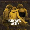 Image de Various Artists - Brown Acid: The Twentieth Trip (LP)