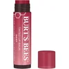 Image de Burt's Bees - Tinted Lip Balm Daisy