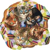 Image de SunsOut puzzel kattenmand legpuzzel Linda Elliot 750 stukjes karton.