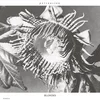 Image de Blondes - Persuasion (12" Single)