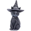Image de Nemesis Now Purrah Unisex beeld - Neutraal - Standard