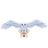 Image de Harry Potter - Hedwig - 3D wanddecoratie (Nemesis Now)
