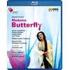 Image de Madama Butterfly, Hamburg 2012, Blu
