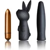 Image de Rocks-Off - Silhouette Dark Desires Kit - Toys Kit