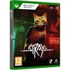 Image de Stray Xbox Series X / Xbox One