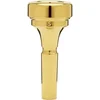 Image de Denis Wick Cornet mondstuk DW4881 S