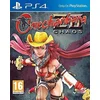 Image de Onechanbara Z2: Chaos /PS4