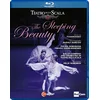 Image de Sleeping Beauty [Vdeo]