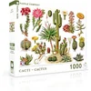 Image de New York Puzzle Company - Vintage Images Cacti ~ Cactus - 1000 stukjes puzzel
