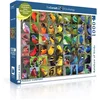Image de New York Puzzle Company - Cornell Lab Rainbow of Birds - 1000 stukjes puzzel