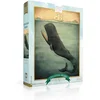 Image de New York Puzzle Company Puzzel Leviathan Below - 500 stukjes