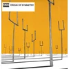 Image de Origin of Symmetry (LP)