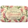 Image de Nesti Dante Lavanda Rosa Del Chianti Zeep 150gr.