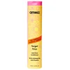 Image de amika forget frizz anti-frizz conditioner 275ml